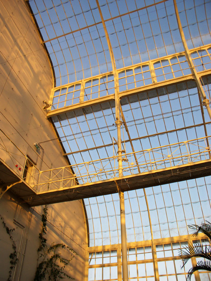 greenhouse interior