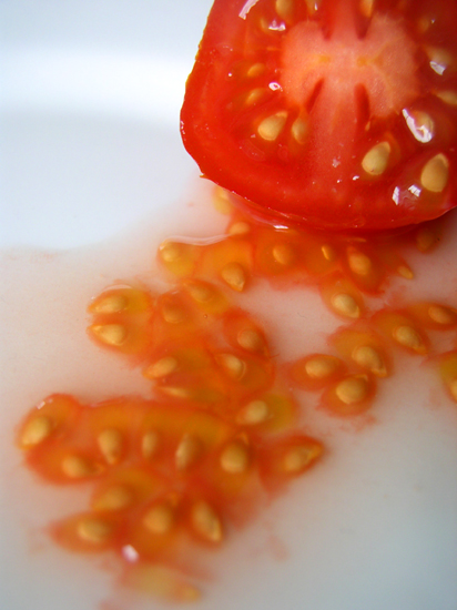 tomato caviar
