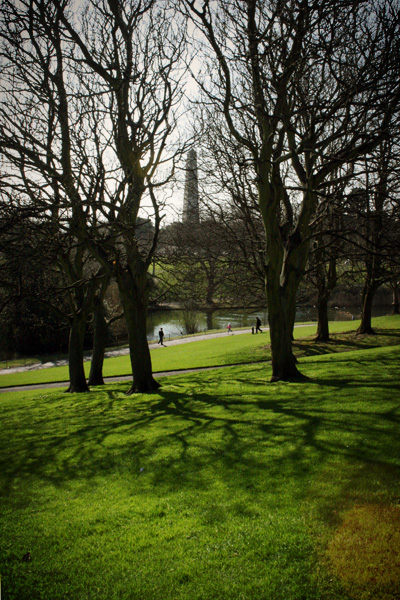 wellington monument