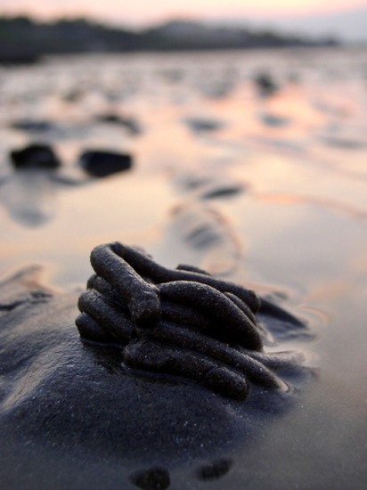 seapoint beach