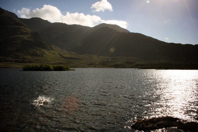 aonghus swims