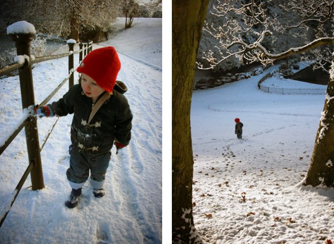 fionn in the snow