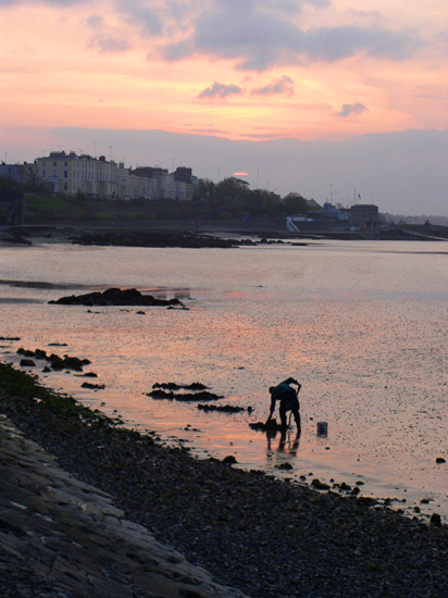 digging at seapoint