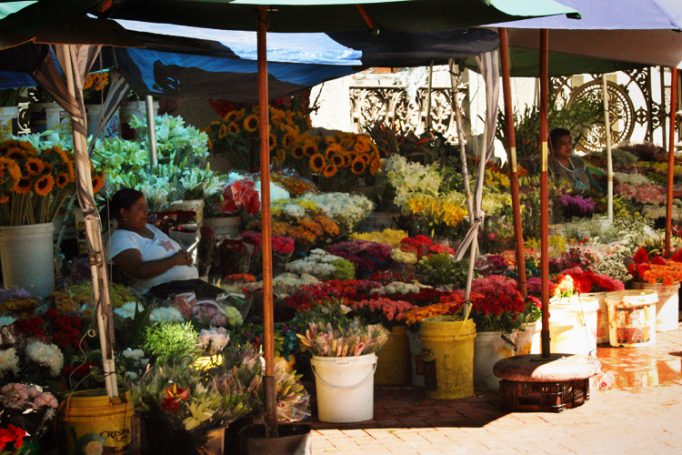 flower sellers