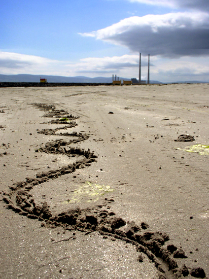 dollymount