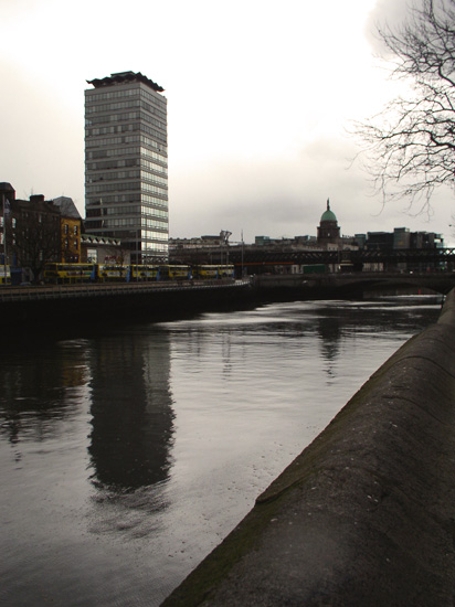 grey dublin