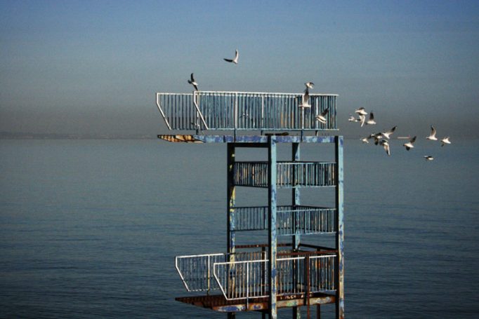 seagulls, blackrock baths