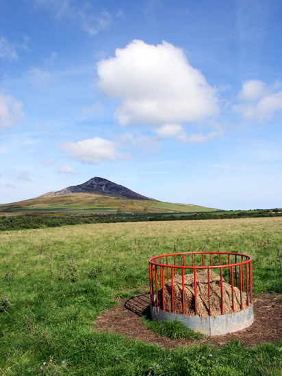 the sugarloaf