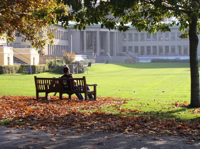 trinity, bench