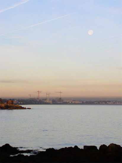 cranes, moon