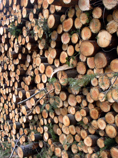 stacked logs