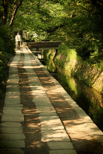 philosopher’s walk, kyoto