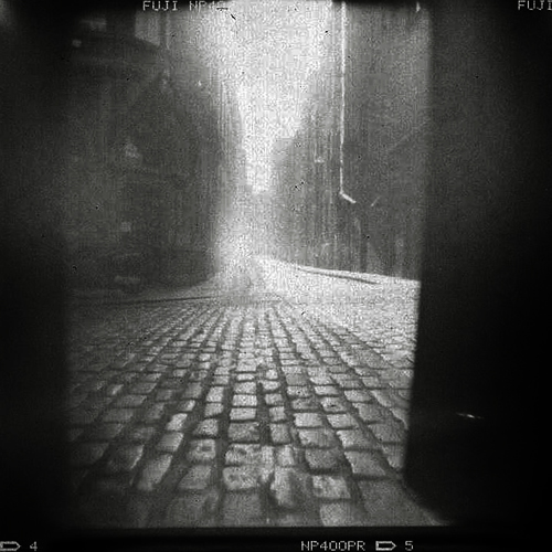 holga cobblestones II