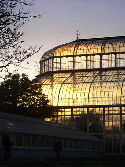 the botanic gardens at sunset