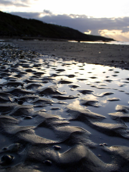 visitors beach