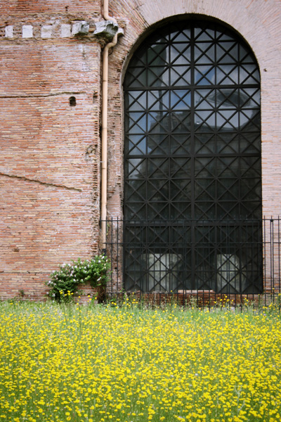 building & flowers