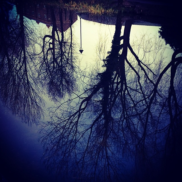 Canal reflections