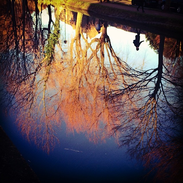 Canal reflections