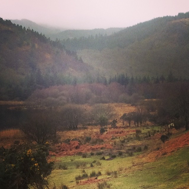 Soft afternoon in Glendalough