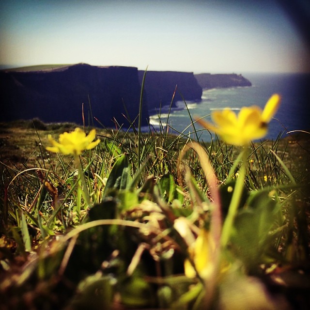 Cliffs of Moher