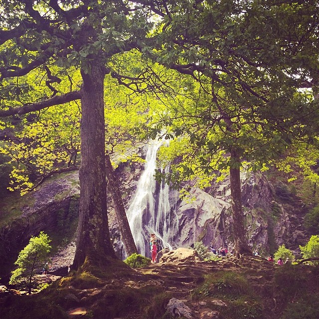 Powerscourt waterfall