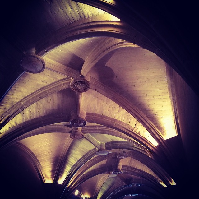 Vaulted ceilings