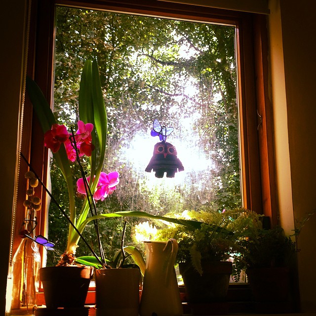 Kitchen window