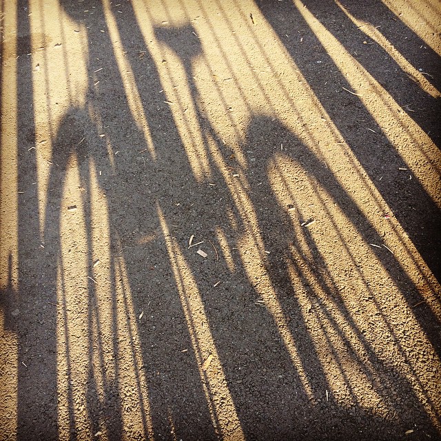 Shadow bicycle