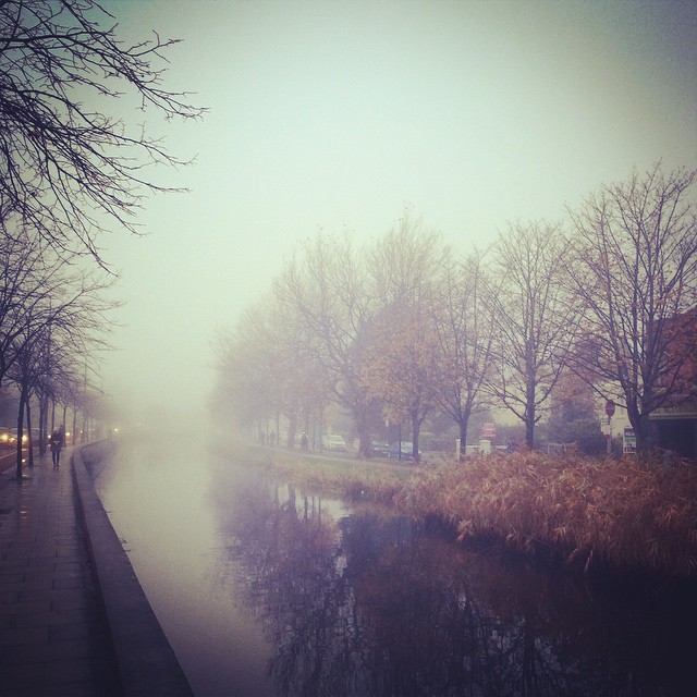 Foggy canal