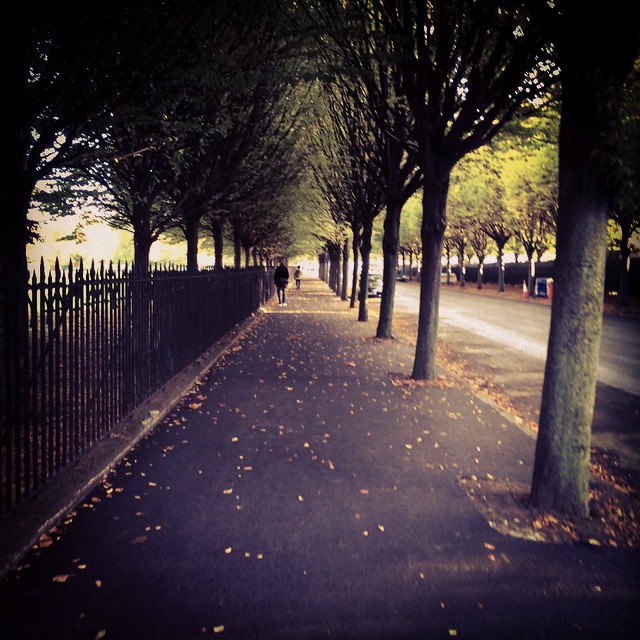 Walking to the websummit