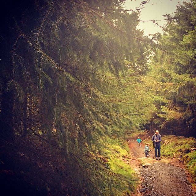 Forest path