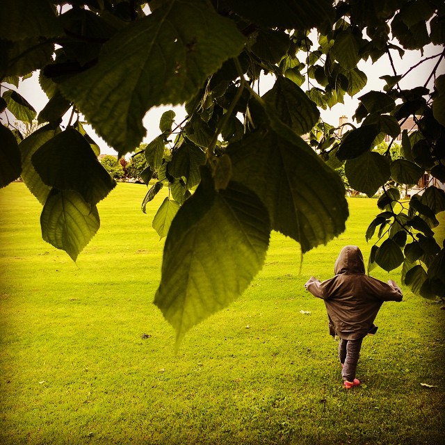 Park leaves