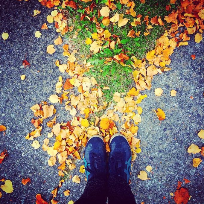 Leg warmers and leaves