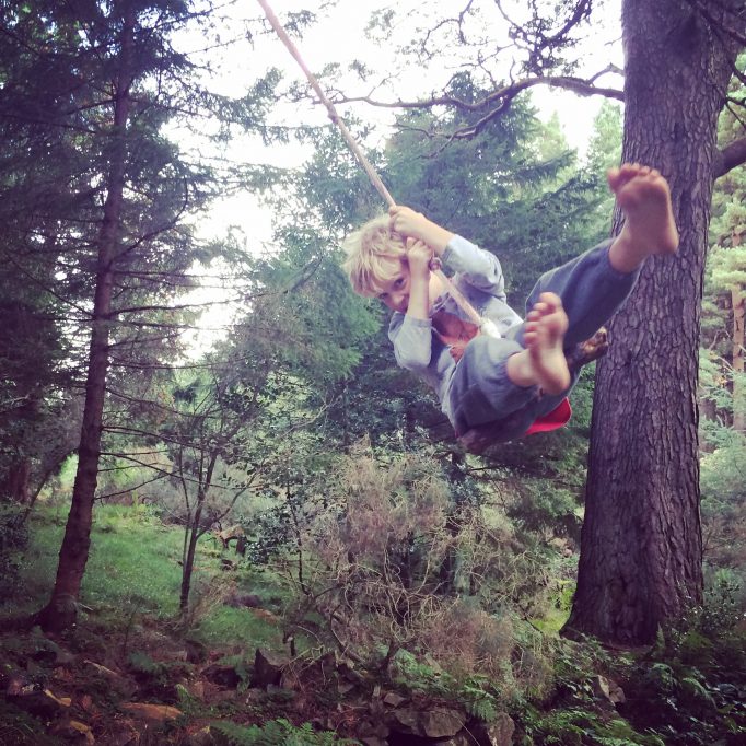 Tree swing