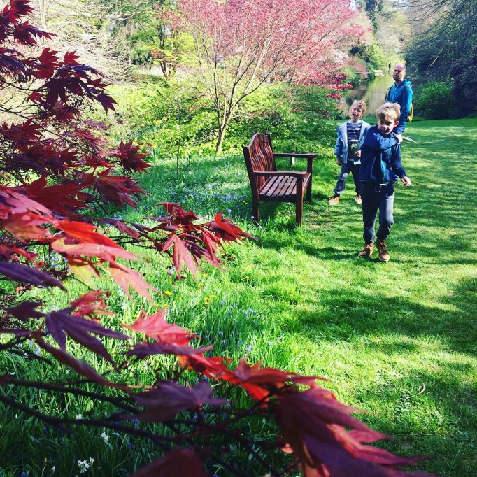 Mount Usher Gardens