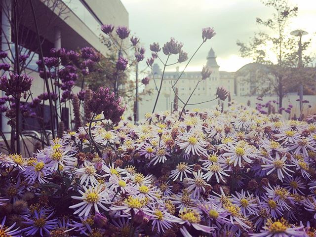 Outside the Lexicon